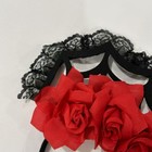 Bild 11 von 11