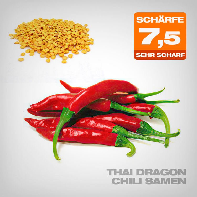 Thai Dragon Chili Samen, 10 Stk. | Bio Chili Samen Planzen Shop