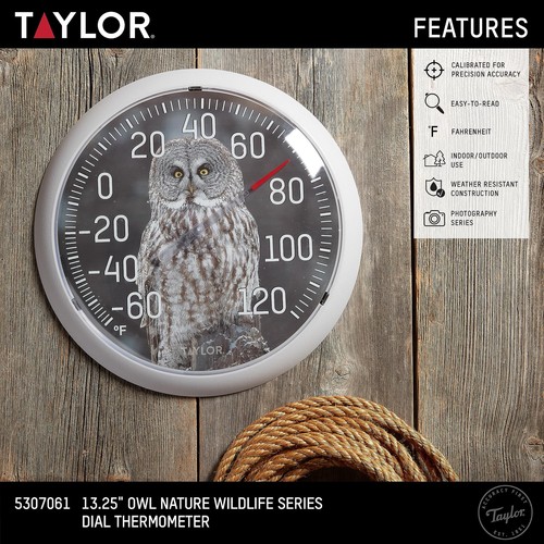 Nature Series Indoor Outdoor Owl Thermometer, Easy to Read Wall Decor for Pat... - Bild 2 von 6