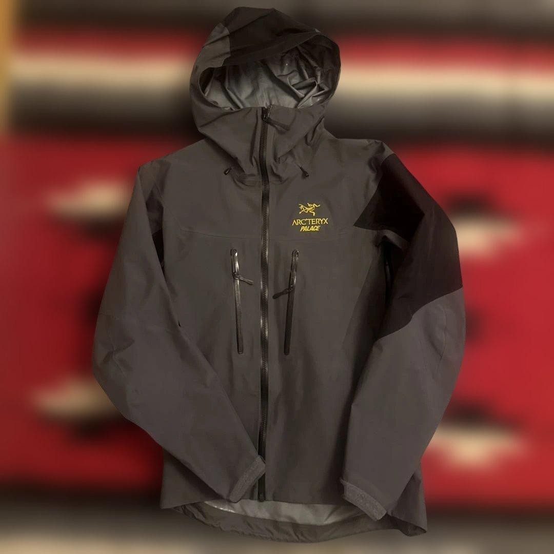 Arcteryx palace alpha sv - Gem