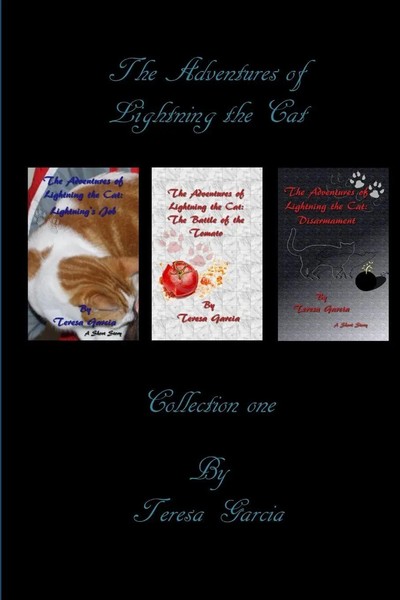 Teresa Garcia | The Adventures Of Lightning The Cat | Taschenbuch | Englisch-image