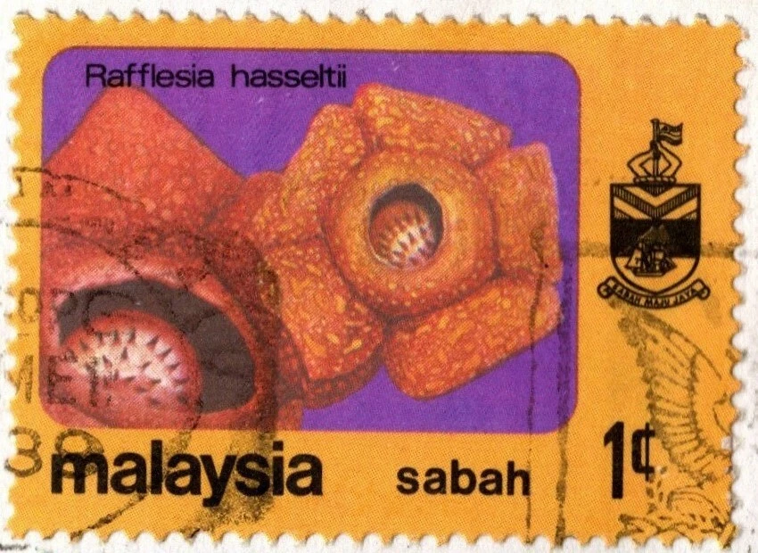 MALASIA 1989 CUBIERTA ENVIADA A AMMAN JORDAN SEIS SELLOS PLANTAS Y FLORES  Foto 3 de 4