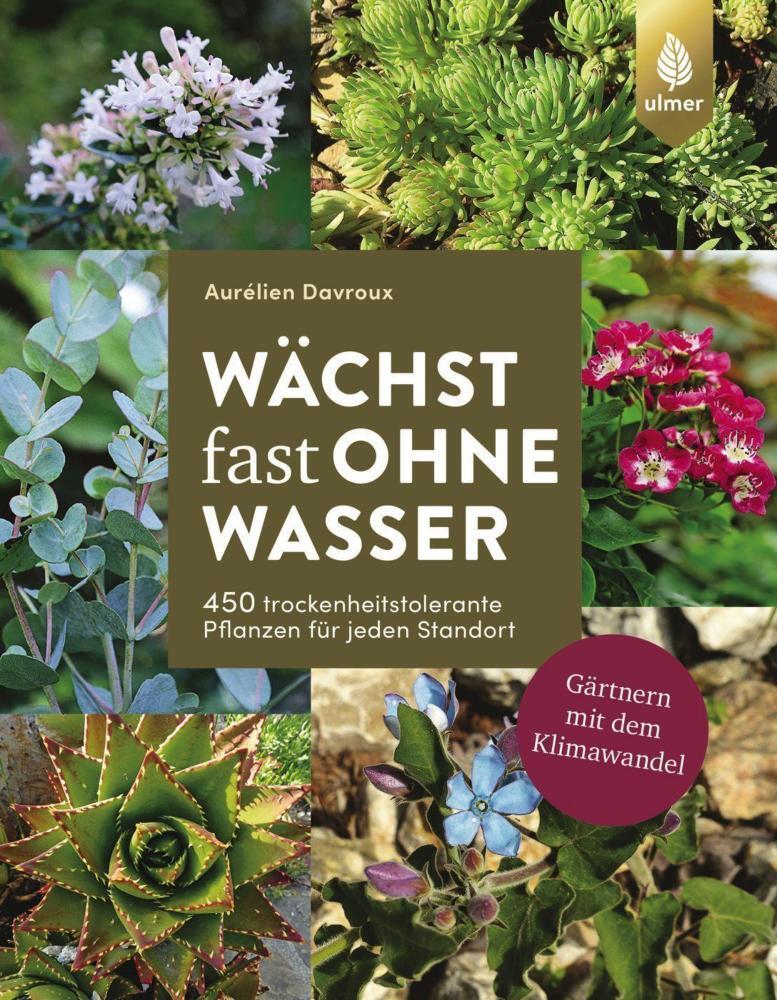 Thumbnail - Wächst Fast Ohne Wasser - Aurélien Davroux - 9783818613594 Portofrei