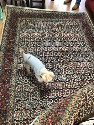 UN TAPIS TURC MOTIF FLORAL - Photo 1/4