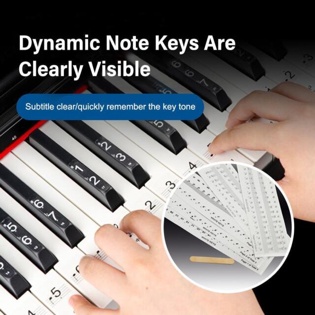 5 pz Adesivi Tastiera Pianoforte Installazione Senza Traccia Note Key[ Dinamico Y5D0-