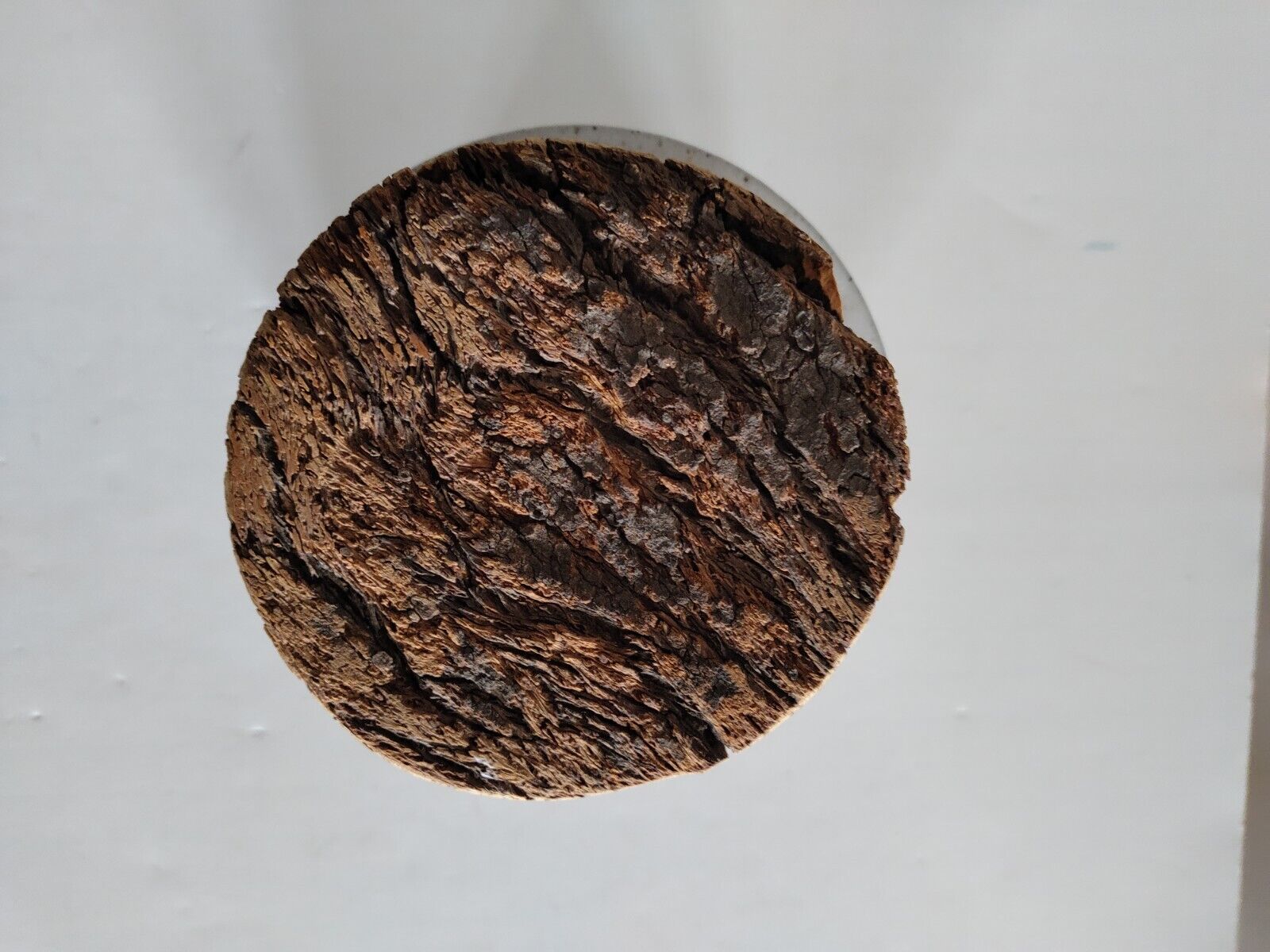 Picture 5 of 10