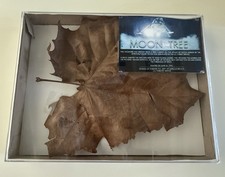 🌕 Moon Tree Leaf – Sycamore (Apollo 14 Mission, 1971)