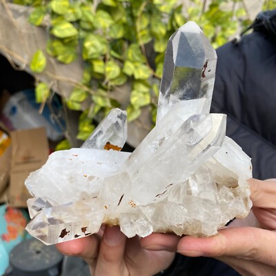 Natural White Clear Quartz Crystal Cluster Raw Healing