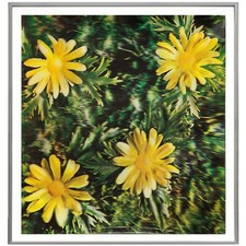 ANDY WARHOL 1970 RAIN AND FLOWERS RARE 3-D ORIGINAL LENTICULAR COLOR PHOTOGRAPH