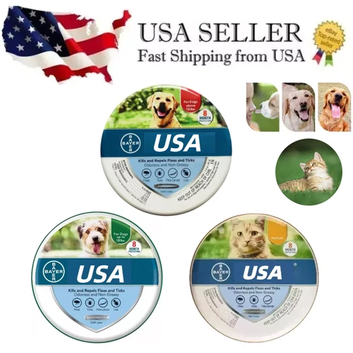 Pack of 1 Collar for Pet dog & pet cat, Dog Collar, Protection Large Dogs US New