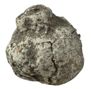 OBO🪨🪷FOSSIL CRINOID BULB (Ancient "Sea Lily") 285.5g LIMESTONE DISPLAY #24🪷🪨