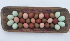 Rainbow Hatching eggs NPIP  AI tested flock Olive, Bcm, Lav Marans Blue Layers
