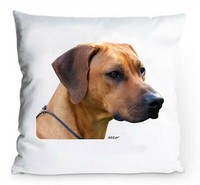 Kissenbezug 40X40Cm - Rhodesian Ridgeback - Portrait Wachhund Hund Deko Kissen