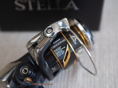 Shimano 20 STELLA SW 6000HG Spinning Reel-Watch Our Product Video