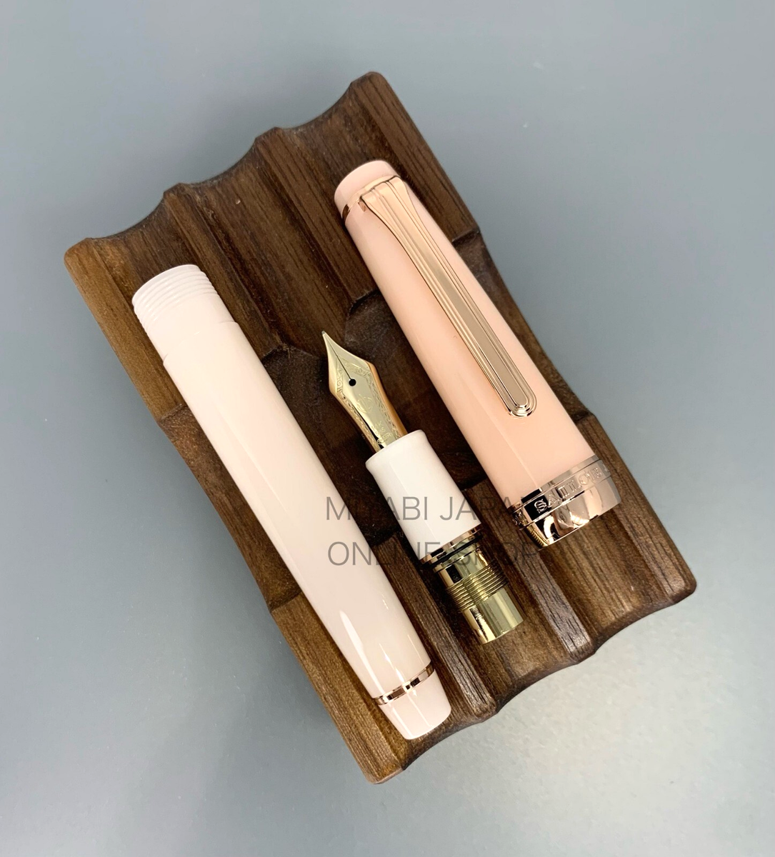 New] SAILOR Professional Gear Slim PRINCESS ROSE 14K M Nib Usagiya