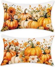 Fall Pumpinks Pillow Covers 12X20 Set of 2 Autumn Floral Farmhouse Decoration Th