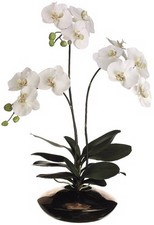 Phalaenopsis Orchid Silk Flower Arrangement in Ceramic Pot