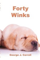 George J Carroll | Forty Winks | Taschenbuch | Englisch (2014) | [.]