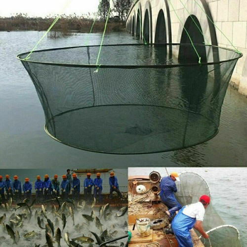Faltbar Angeln Fischernetz Köderfischsenke Senke Masche Kescher Netz Outdoor neu - Bild 2 von 2