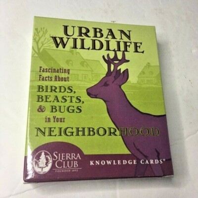NEW Urban Wildlife Quiz Cards stocking stuffer gift for the nature lover 