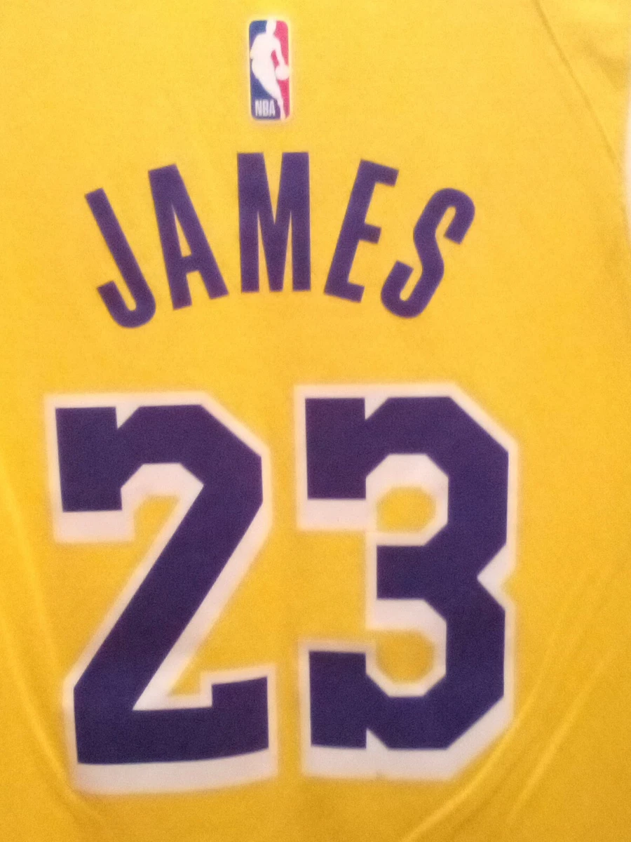 Nike LeBron James Icon Edition Swingman Men s Jersey LA Lakers gold