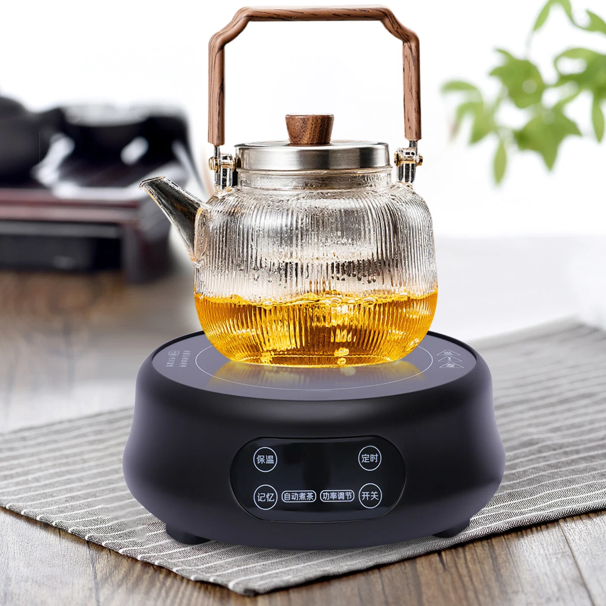 Mini Electric Tea Kettle