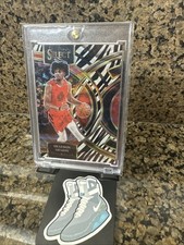 2023-24 Select Shaedon Sharpe Premier Level Zebra Stripe Trail Blazers #186