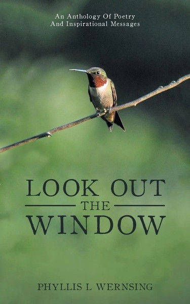 Phyllis L Wernsing | Look Out The Window | Taschenbuch | Englisch (2017)-image