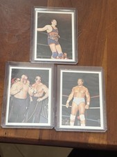 1988 NWA Wonderama Wrestling Card Lot