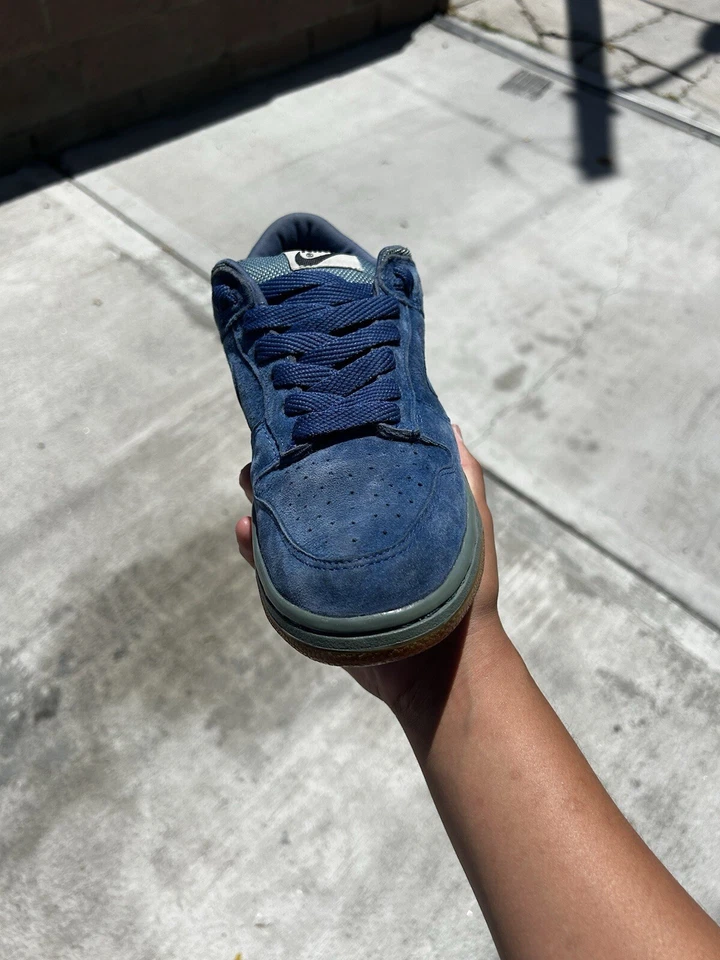 Talla 9 - Nike Dunk Pro B Pitufo Bajo Foto 3 de 4