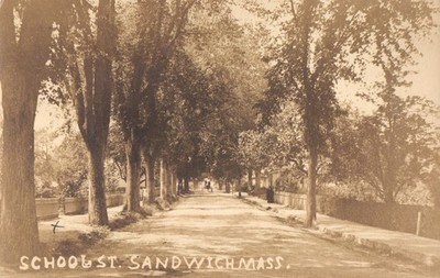 RPPC School Street Sandwich Massachusetts Tree Lined Road Posted 1908