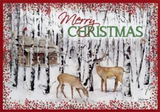 Deer and Birches Box of 14 Barb Tourtillotte Glitter Wildlife Christmas Cards