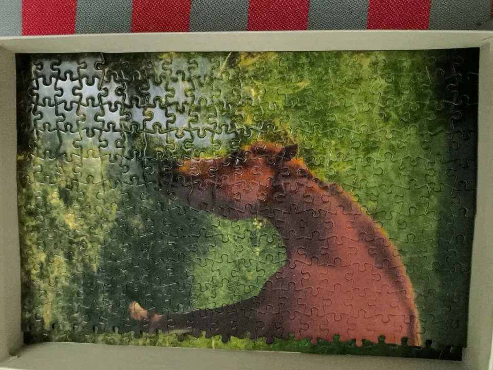 Puzzle Clementoni/Ravensburger - Da 60 A 500 Pezzi - Completi E Pari Al Nuovo  - Immagine 3 di 4