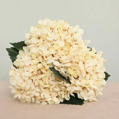 Fleurs artificielles et séchées de décoration intérieure beige