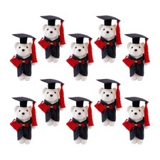  10 pezzi mini di laurea in peluche per peluche di graduazione peluche per orsi