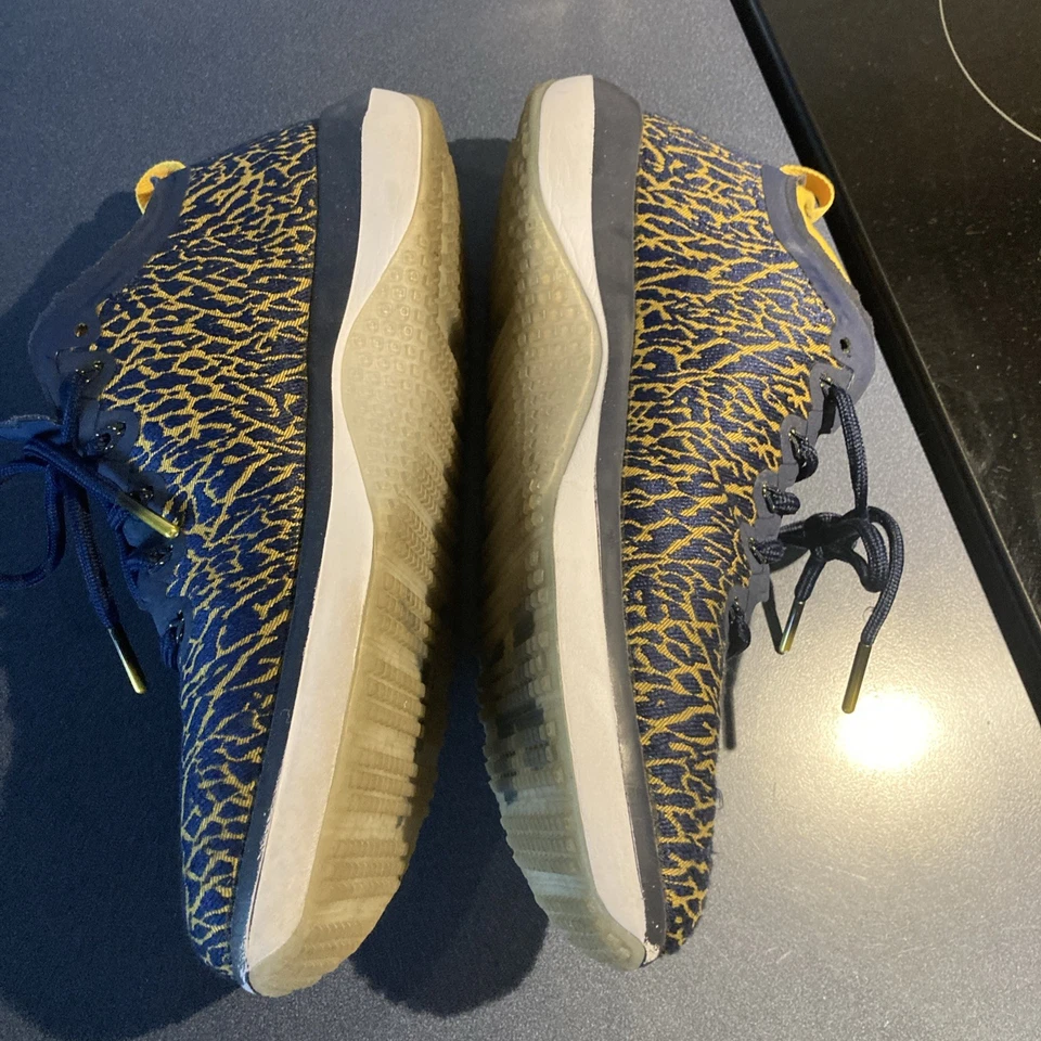 Jordan Trainer 1 Low Michigan Wolverines - Talla 9.5 (845403-420) Foto 3 de 4