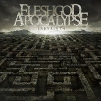 Fleshgod Apocalypse - Labyrinth - Vinyl Record Vinyl - F23Z