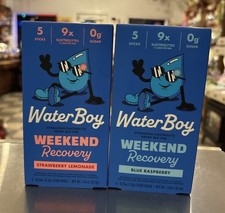 2xWaterboy Workout Weekend Recovery Blue Raspberry  Strawberry Lemonade Sept 26