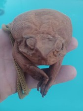 Handmade Sugar Cane Toad Coin Purse Shoulder/Neck Bag - Real Toad Leather