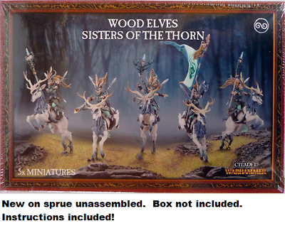 Warhammer Age of Sigmar Wood Elves Sisters of the Thorn NIB