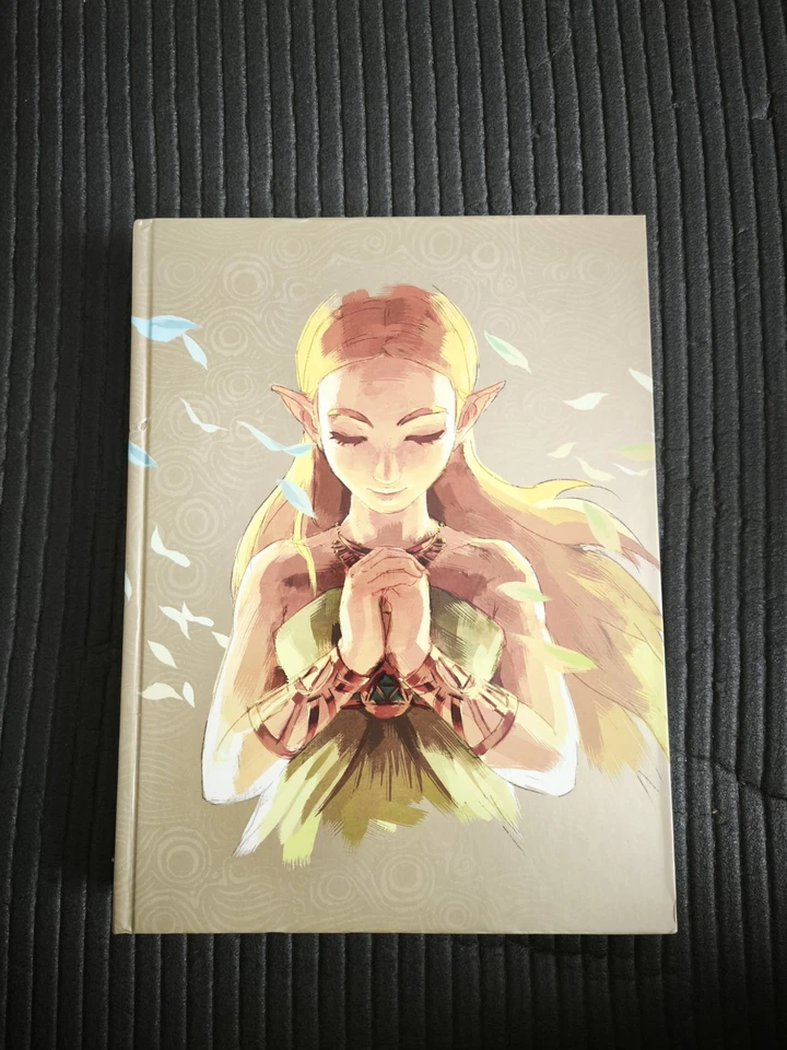The Legend of Zelda: Breath of the Wild (Nintendo Switch, 2017), Foto 1 von 5