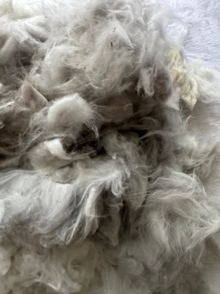 Wholesale EXC Multicolor Fleeces Handspinning Angora Fiber Raw Spinning 12 oz - Image 2 of 4