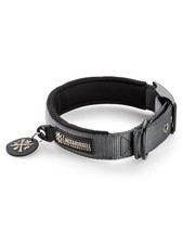 Jack  Russell Collare per Cani Premium Max con Rivetti - Imbottito in N