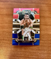2024 Panini Select WWE Razor Ramon Red and Blue Retail 83