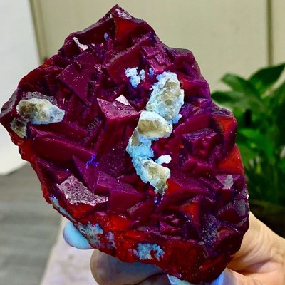 391G Natural black rose fluorescent cube fluorite specimen glow under UV light