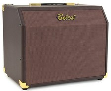 Belcat Acoustic 25C amplifier