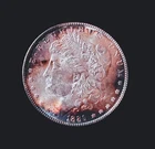 1889 Morgan Dollar Silver Nicely Toned