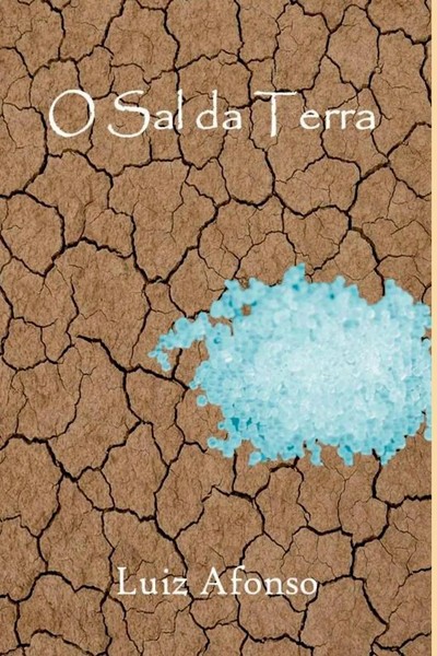 Luiz Afonso | O Sal Da Terra | Taschenbuch | Portugiesisch (2024)-image