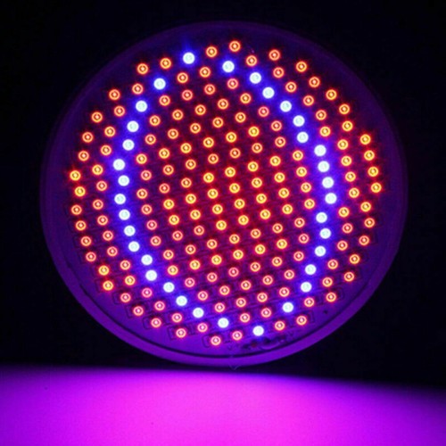 200 LED Grow Light Bulb Full Spectrum Lamp Kit For Indoor Plants w/ Clip Bracket - Picture 5 of 12