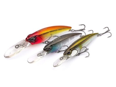509894_2